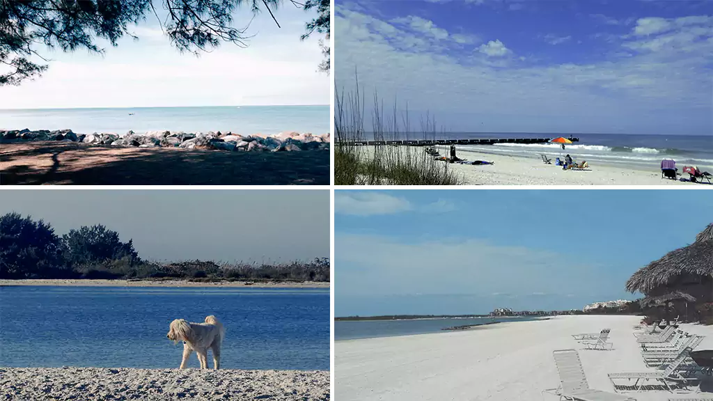 Best beaches in southwest florida