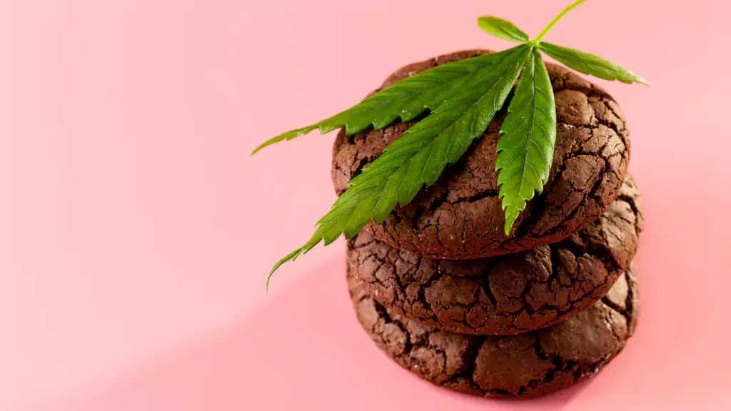 Can You Bring Edibles on a Plane?